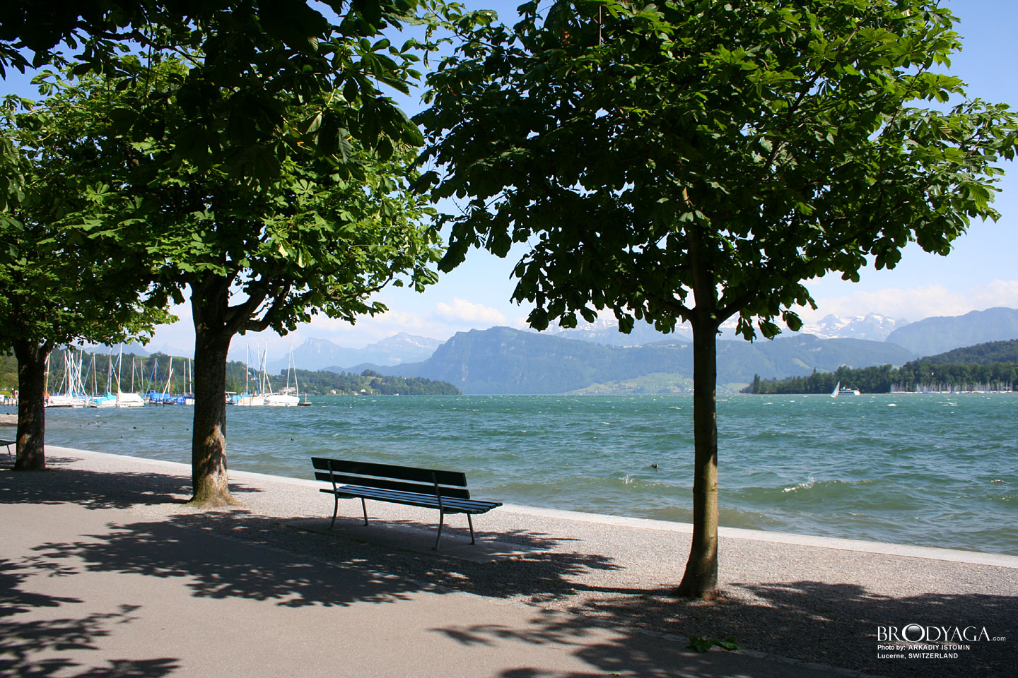 Lucerne
